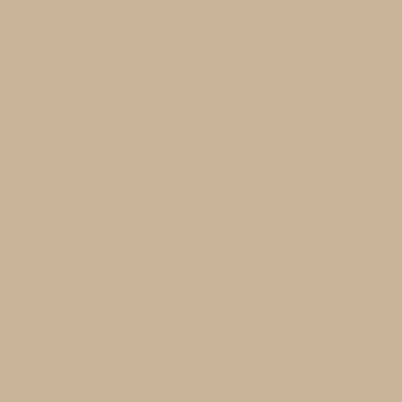 BCR WIDE CARGO PANTS - BEIGE 이미지 1